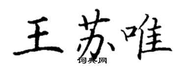 丁谦王苏唯楷书个性签名怎么写