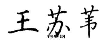 丁谦王苏苇楷书个性签名怎么写