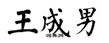 翁闿运王成男楷书个性签名怎么写