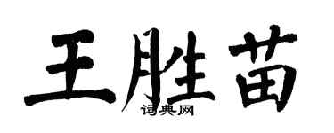 翁闿运王胜苗楷书个性签名怎么写