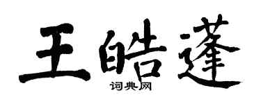 翁闿运王皓蓬楷书个性签名怎么写