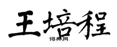 翁闿运王培程楷书个性签名怎么写