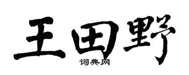 翁闿运王田野楷书个性签名怎么写
