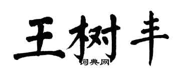 翁闿运王树丰楷书个性签名怎么写