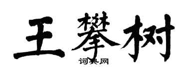 翁闿运王攀树楷书个性签名怎么写