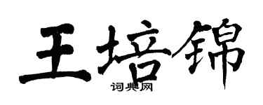翁闿运王培锦楷书个性签名怎么写
