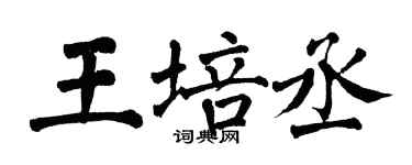 翁闿运王培丞楷书个性签名怎么写