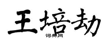 翁闿运王培劫楷书个性签名怎么写