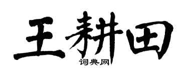 翁闿运王耕田楷书个性签名怎么写