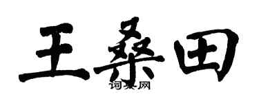 翁闿运王桑田楷书个性签名怎么写