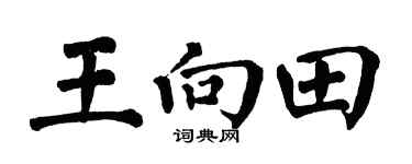 翁闿运王向田楷书个性签名怎么写