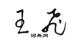 骆恒光王飞草书个性签名怎么写