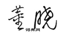 骆恒光董晓草书个性签名怎么写