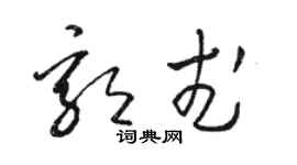 骆恒光郭武草书个性签名怎么写