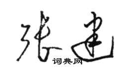 骆恒光张建草书个性签名怎么写