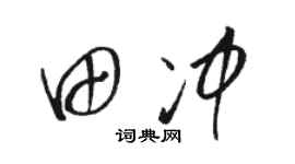 骆恒光田冲草书个性签名怎么写