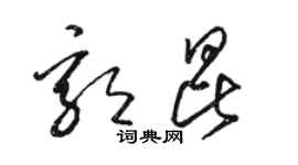 骆恒光郭昆草书个性签名怎么写