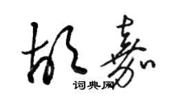 骆恒光胡嘉草书个性签名怎么写