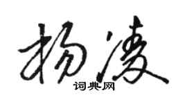 骆恒光杨凌草书个性签名怎么写