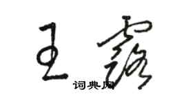 骆恒光王露草书个性签名怎么写