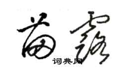 骆恒光苗露草书个性签名怎么写