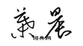 骆恒光叶晨草书个性签名怎么写