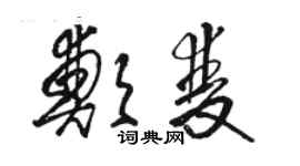 骆恒光郑双草书个性签名怎么写
