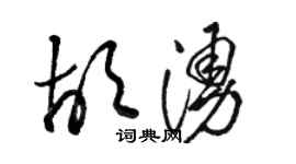 骆恒光胡涌草书个性签名怎么写