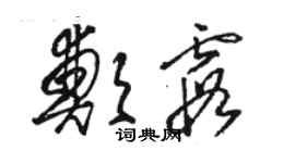 骆恒光郑霞草书个性签名怎么写
