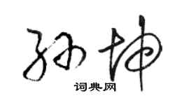 骆恒光孙坤草书个性签名怎么写