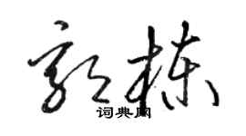 骆恒光郭栋草书个性签名怎么写