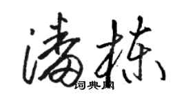 骆恒光潘栋草书个性签名怎么写