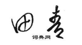 骆恒光田青草书个性签名怎么写