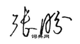骆恒光张盼草书个性签名怎么写
