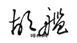 骆恒光胡舰草书个性签名怎么写