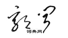 骆恒光郭闻草书个性签名怎么写