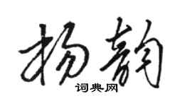 骆恒光杨韵草书个性签名怎么写