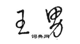 骆恒光王男草书个性签名怎么写