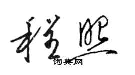 骆恒光程照草书个性签名怎么写