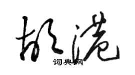 骆恒光胡港草书个性签名怎么写