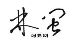 骆恒光林闽草书个性签名怎么写