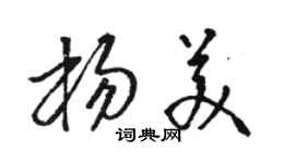 骆恒光杨美草书个性签名怎么写