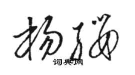 骆恒光杨缨草书个性签名怎么写