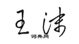 骆恒光王沫草书个性签名怎么写