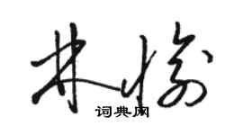 骆恒光林愉草书个性签名怎么写