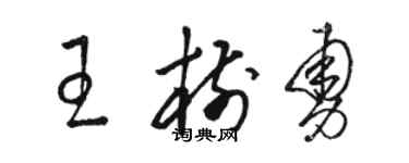 骆恒光王树勇草书个性签名怎么写