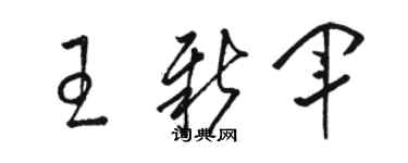 骆恒光王新军草书个性签名怎么写