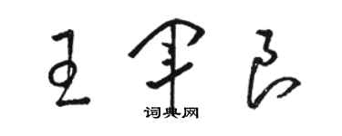 骆恒光王军良草书个性签名怎么写