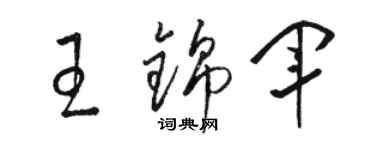 骆恒光王锦军草书个性签名怎么写