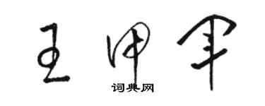 骆恒光王甲军草书个性签名怎么写